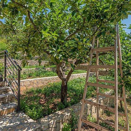Beautiful In Apartment