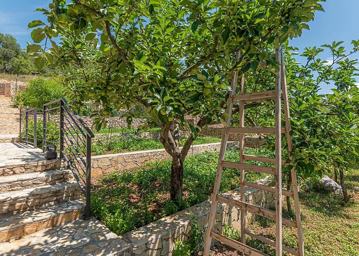 Beautiful In דירה